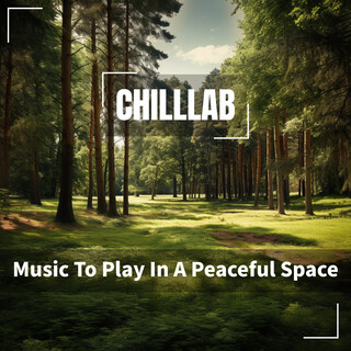 Music To Play In A Peaceful Space