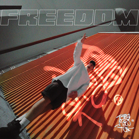 Freedom | Boomplay Music