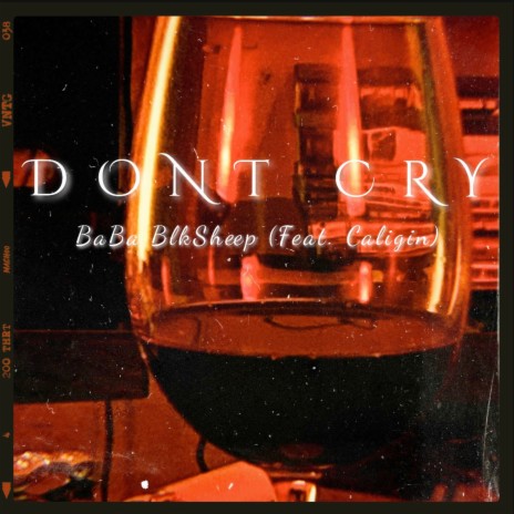 DON'T CRY ft. Caligin | Boomplay Music