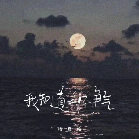 我知道我不争气 | Boomplay Music