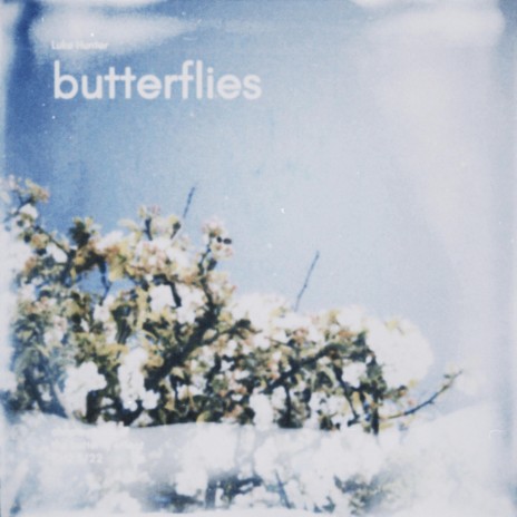 butterflies (Instrumental) | Boomplay Music