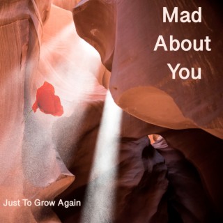 Mad About You