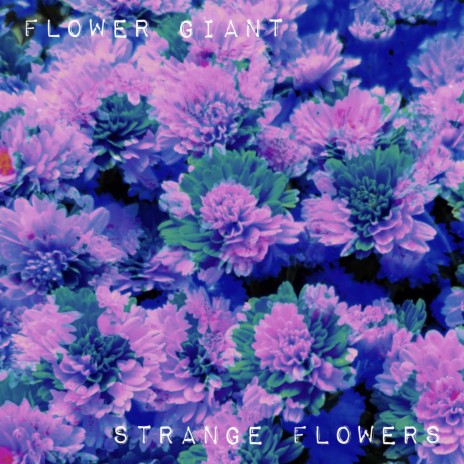 Strange Flowers | Boomplay Music