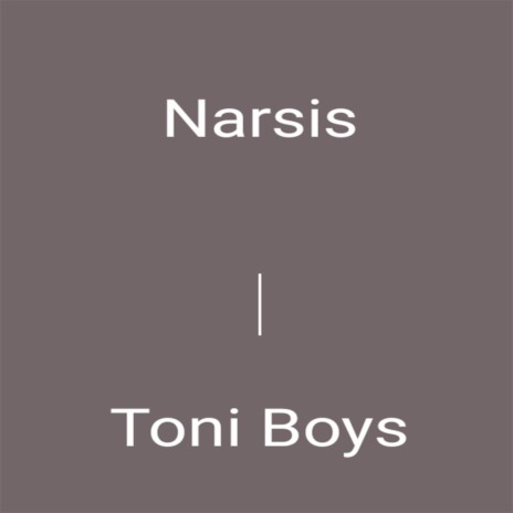 Narsis | Boomplay Music