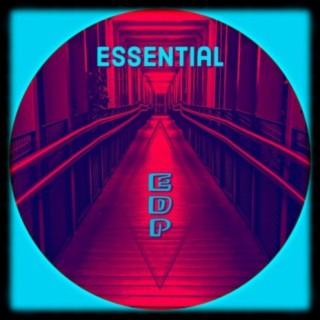 Essential lyrics | Boomplay Music