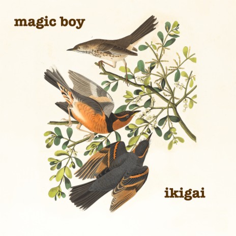 Ikigai | Boomplay Music