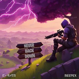 Never Back Down Never Give Up lyrics | Boomplay Music