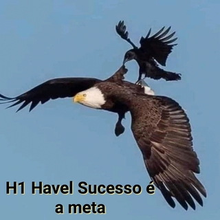 Sucesso é a meta