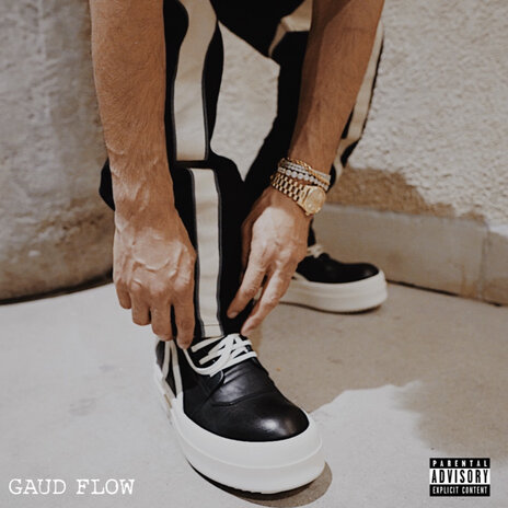 Gaud Flow | Boomplay Music