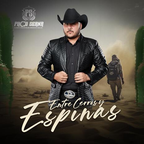 ENTRE CERROS Y ESPINAS | Boomplay Music