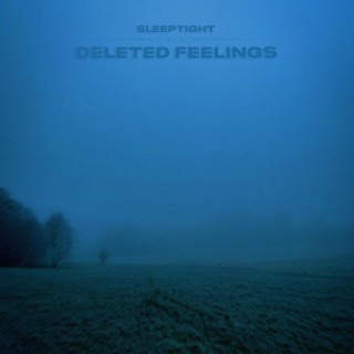 Deleted Feelings