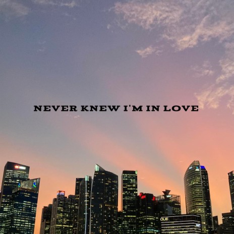 Never Knew I'm In Love | Boomplay Music