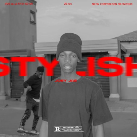 Stylish | Boomplay Music