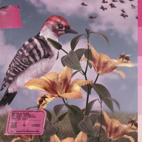 Birds & Bees ft. Johnny 2 Phones | Boomplay Music