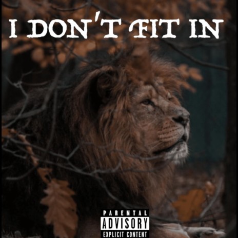 I Don't Fit In | Boomplay Music