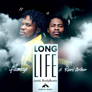 Long Life ft. Kwesi Arthur lyrics | Boomplay Music