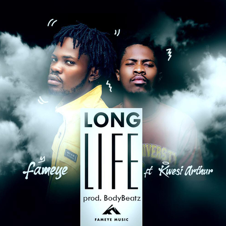 Long Life ft. Kwesi Arthur | Boomplay Music