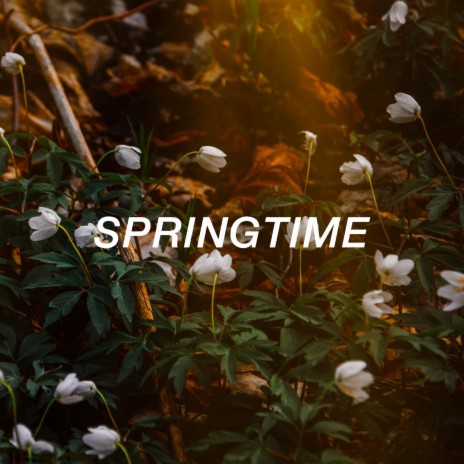 Springtime (Your Love Is) | Boomplay Music