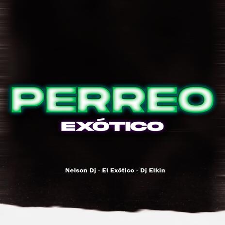 Perreo (Exótico) ft. El Exótico & Dj Elkin | Boomplay Music