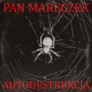 Autodestrukcja