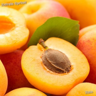 Refrain Apricot