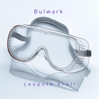 Bulwark