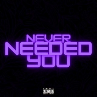 Never Needed You