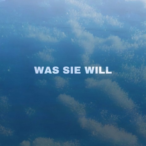 WAS SIE WILL | Boomplay Music