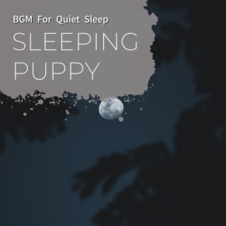 Bgm for Quiet Sleep