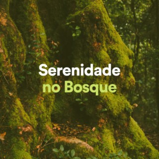 Serenidade no Bosque