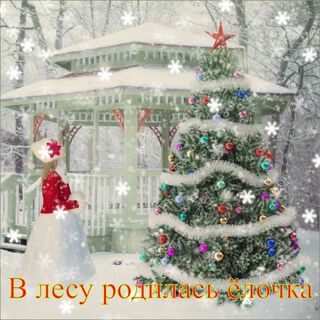 В лесу родилась ёлочка