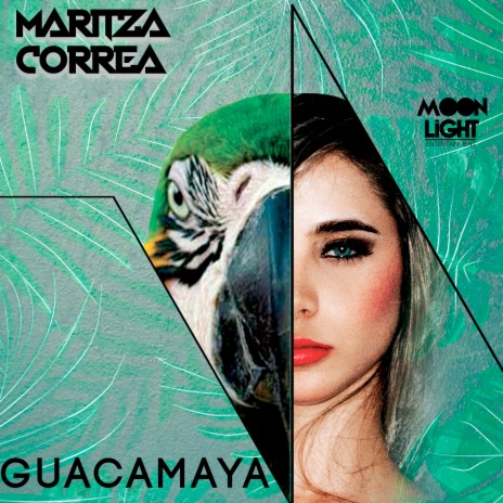 Guacamaya | Boomplay Music