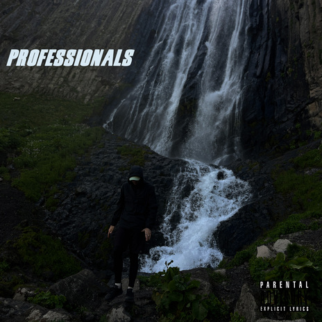 Professionals | Boomplay Music