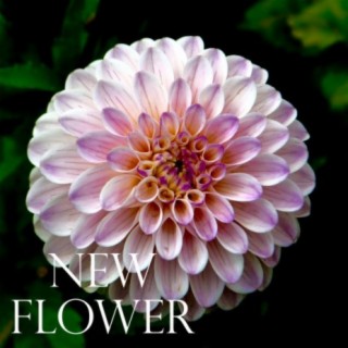 New Flower