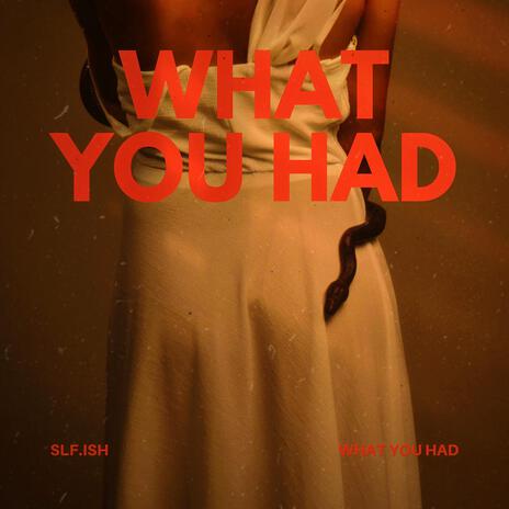 What You Had | Boomplay Music