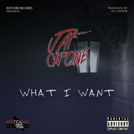 What I Want | Boomplay Music