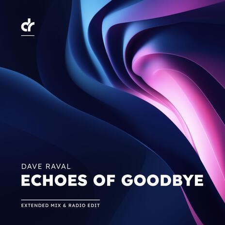 Echoes of Goodbye (Instrumental Mix) | Boomplay Music