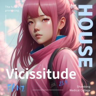 Vicissitude