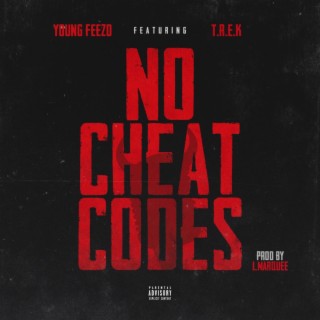 No Cheat Codes