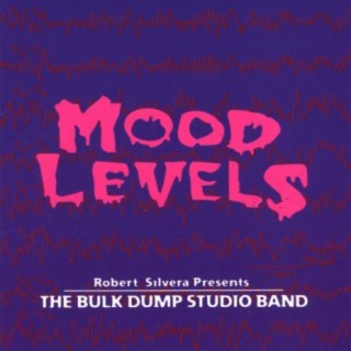 Robert Silvera Presents The Bulk Dump Studio Band