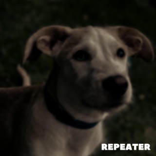 Repeater