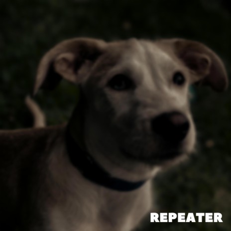 Repeater | Boomplay Music