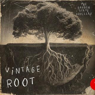 Vintage Root