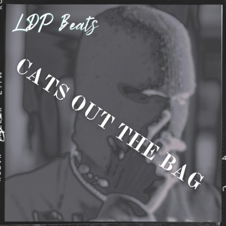 Cats Out The Bag | Boomplay Music