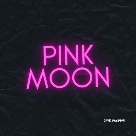 Pink Moon | Boomplay Music