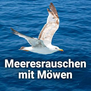 Meeresrauschen mit Möwen