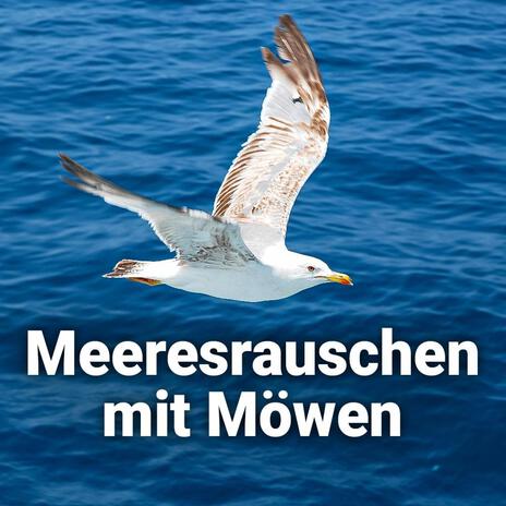 Meeresrauschen Ostsee