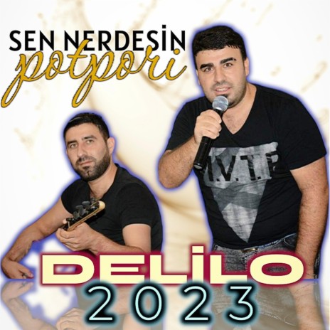 Delilo Sen Nerdesin | Boomplay Music