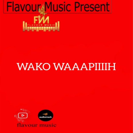 Wako wapi ft. Flavour music