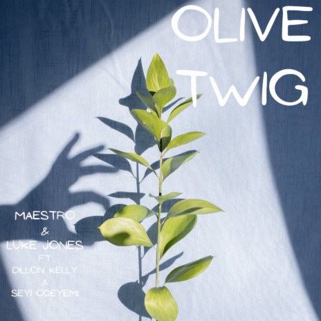 Olive Twig ft. Luke Jones, Dillon Kelly & Seyi Odeyemi | Boomplay Music